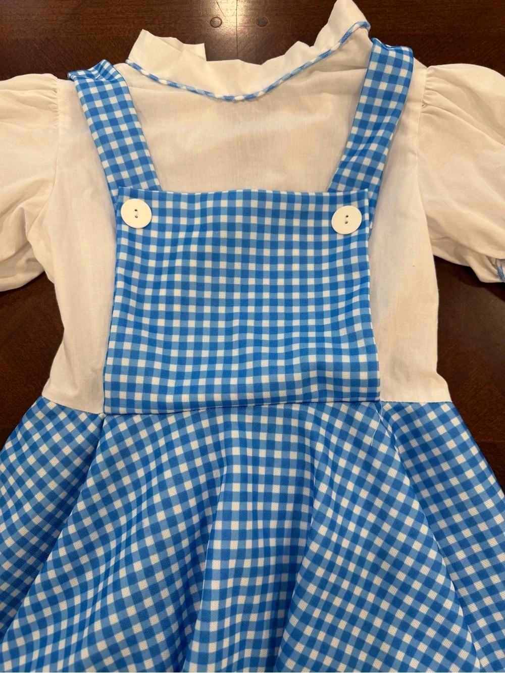 Wizard of Oz Dorothy Blue Gingham Pinafore Dress with Cream Blouse Costume. Sz M
